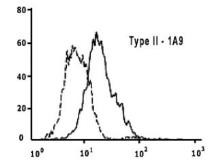 SARS/SARS-CoV-2 Spike Protein S2 Antibody in Flow Cytometry (Flow)