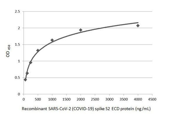 SARS/SARS-CoV-2 Spike Protein S2 Antibody in ELISA (ELISA)