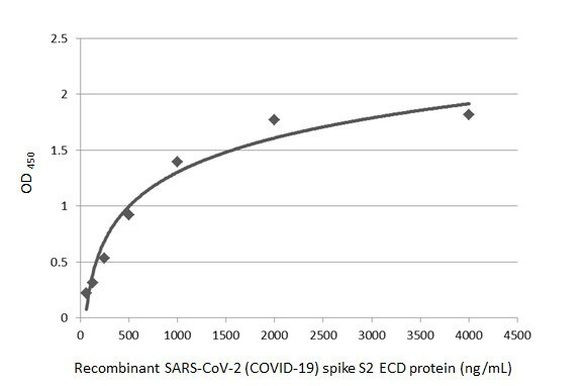 SARS/SARS-CoV-2 Spike Protein S2 Antibody in ELISA (ELISA)