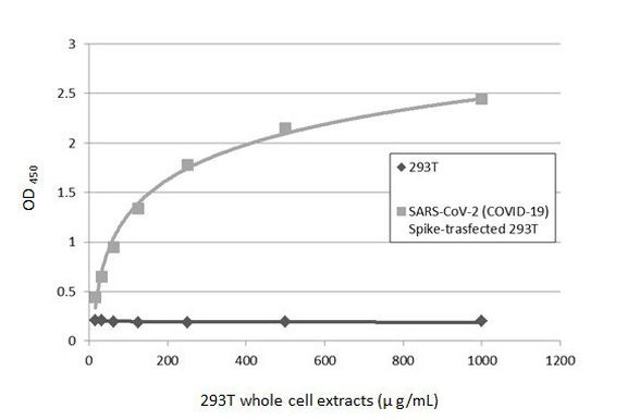 SARS/SARS-CoV-2 Spike Protein S2 Antibody in ELISA (ELISA)