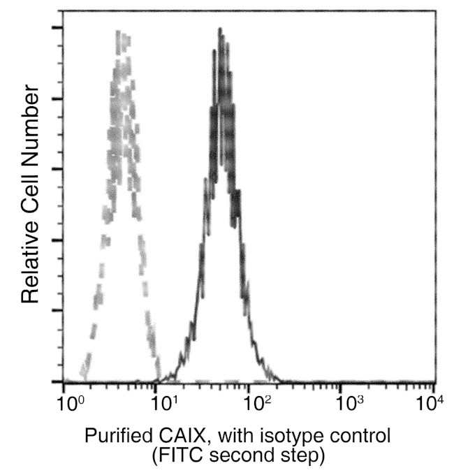 Carbonic Anhydrase IX Antibody in Flow Cytometry (Flow)