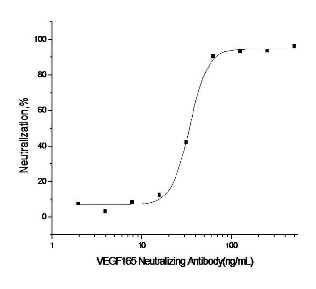 VEGF Antibody in Neutralization (Neu)