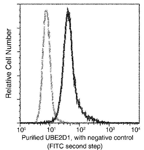 UBE2D1 Antibody in Flow Cytometry (Flow)