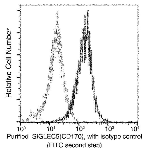 SIGLEC5 Antibody in Flow Cytometry (Flow)