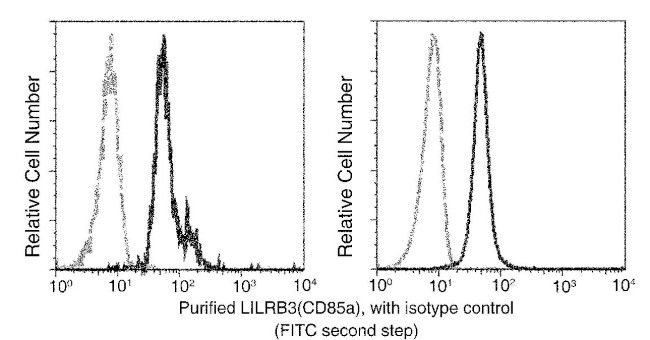 LILRB3 Antibody in Flow Cytometry (Flow)