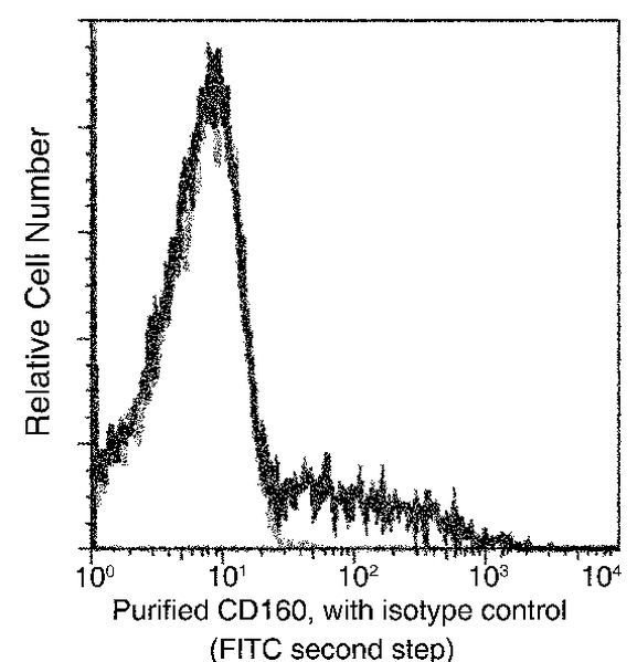 CD160 Antibody in Flow Cytometry (Flow)