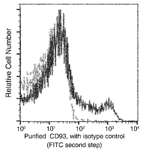 CD93 Antibody in Flow Cytometry (Flow)