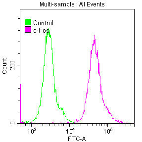 c-Fos Antibody in Flow Cytometry (Flow)