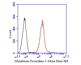 Glutathione Peroxidase 1 Antibody in Flow Cytometry (Flow)