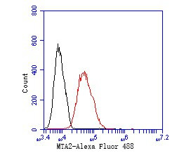 MTA2 Antibody in Flow Cytometry (Flow)