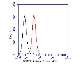 DNMT1 Antibody in Flow Cytometry (Flow)