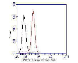 DNMT1 Antibody in Flow Cytometry (Flow)