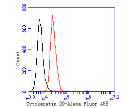 Cytokeratin 20 Antibody in Flow Cytometry (Flow)