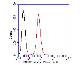 HMGB2 Antibody in Flow Cytometry (Flow)