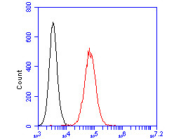 CASK Antibody in Flow Cytometry (Flow)