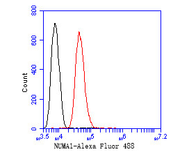 NuMA Antibody in Flow Cytometry (Flow)