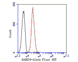 GADD34 Antibody in Flow Cytometry (Flow)