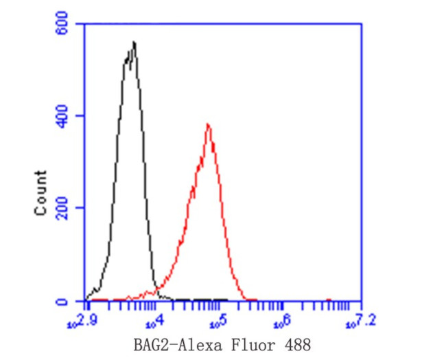 BAG2 Antibody in Flow Cytometry (Flow)