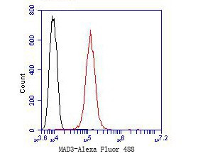 MAD3 Antibody in Flow Cytometry (Flow)