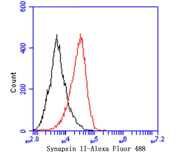 Synapsin II Antibody in Flow Cytometry (Flow)