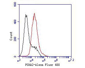 PSMA2 Antibody in Flow Cytometry (Flow)