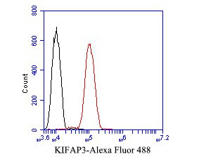 KIFAP3 Antibody in Flow Cytometry (Flow)