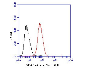 SPAK Antibody in Flow Cytometry (Flow)