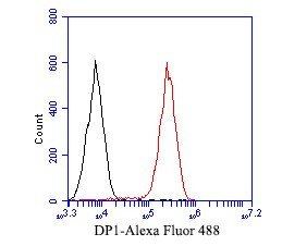 DP1 Antibody in Flow Cytometry (Flow)