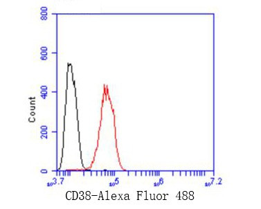 CD38 Antibody in Flow Cytometry (Flow)