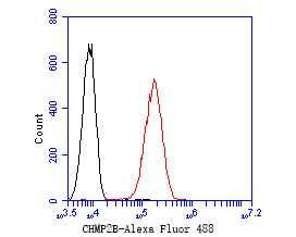 CHMP2B Antibody in Flow Cytometry (Flow)