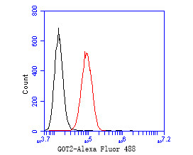 GOT2 Antibody in Flow Cytometry (Flow)