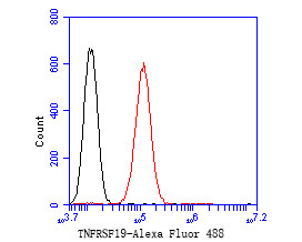 TNFRSF19 Antibody in Flow Cytometry (Flow)