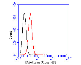 GAA Antibody in Flow Cytometry (Flow)