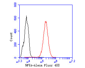 NFYA Antibody in Flow Cytometry (Flow)