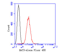 BAT3 Antibody in Flow Cytometry (Flow)