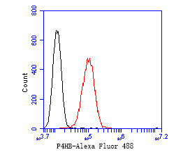 P4HB Antibody in Flow Cytometry (Flow)