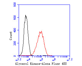 Glycerol kinase Antibody in Flow Cytometry (Flow)