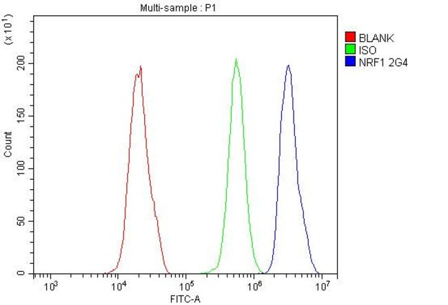 NRF1 Antibody in Flow Cytometry (Flow)