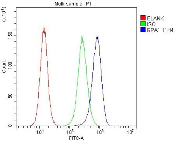 RPA70 Antibody in Flow Cytometry (Flow)