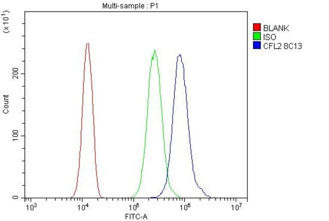 CFL2 Antibody in Flow Cytometry (Flow)