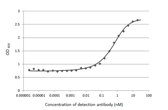 SARS-CoV-2 Spike Protein S1 Antibody in ELISA (ELISA)