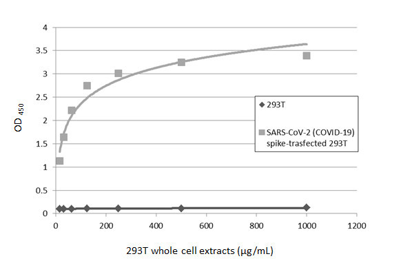 SARS-CoV-2 Spike Protein S1 Antibody in ELISA (ELISA)