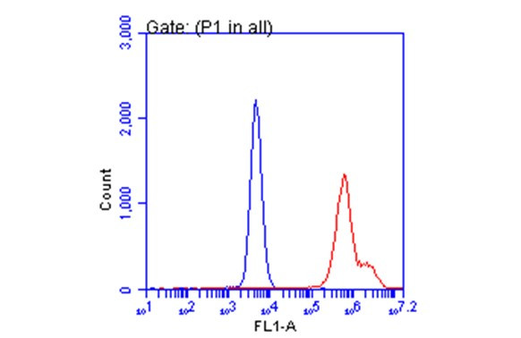 SARS-CoV-2 Spike Protein S1 Antibody in Flow Cytometry (Flow)