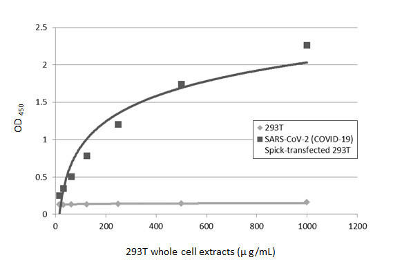 SARS-CoV-2 Spike Protein S1 Antibody in ELISA (ELISA)