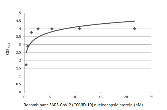 SARS-CoV-2 Nucleocapsid Antibody in ELISA (ELISA)