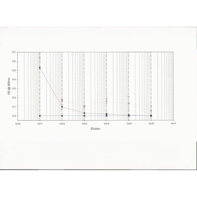 Staphylococcus Enterotoxin B Antibody in ELISA (ELISA)