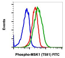 Phospho-MSK1 (Thr581) Antibody in Flow Cytometry (Flow)