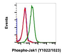 Phospho-Jak1 (Tyr1022, Tyr1023) Antibody in Flow Cytometry (Flow)