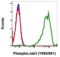 Phospho-Jak3 (Tyr980, Tyr981) Antibody in Flow Cytometry (Flow)