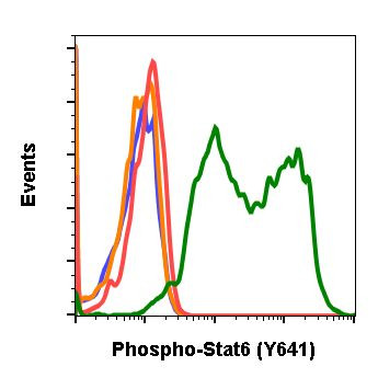 Phospho-Stat6 (Tyr641) Antibody in Flow Cytometry (Flow)